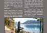 create a article and blogs